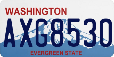 WA license plate AXG8530