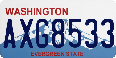 WA license plate AXG8533