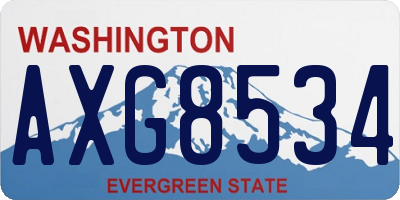 WA license plate AXG8534