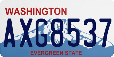 WA license plate AXG8537