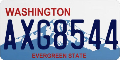 WA license plate AXG8544