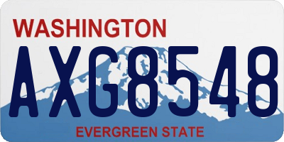 WA license plate AXG8548