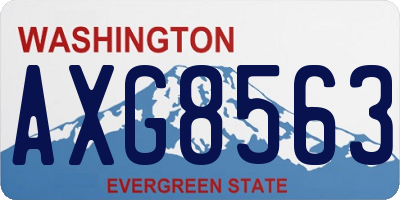 WA license plate AXG8563