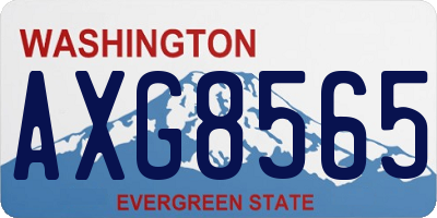 WA license plate AXG8565