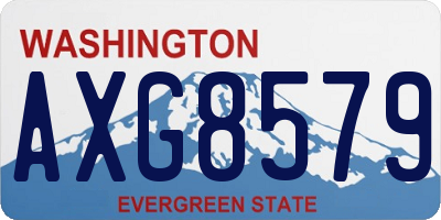 WA license plate AXG8579