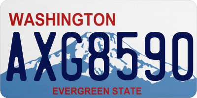 WA license plate AXG8590