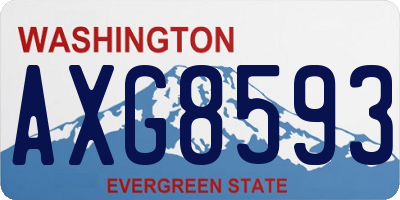 WA license plate AXG8593
