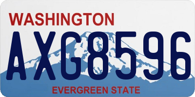WA license plate AXG8596