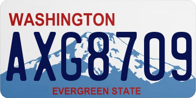 WA license plate AXG8709