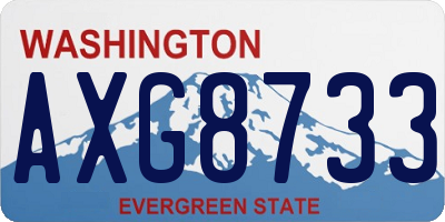 WA license plate AXG8733