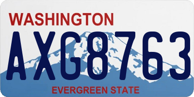 WA license plate AXG8763