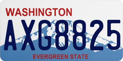 WA license plate AXG8825
