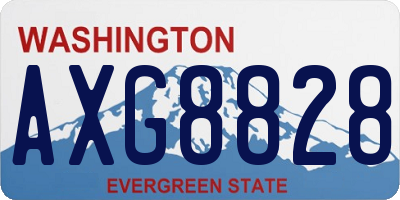 WA license plate AXG8828