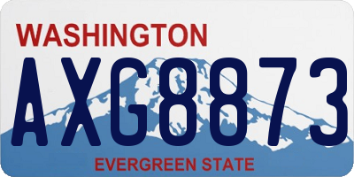 WA license plate AXG8873