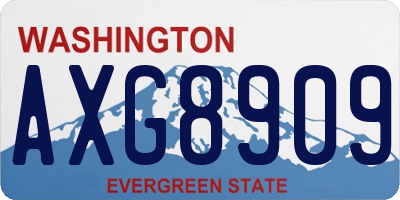 WA license plate AXG8909