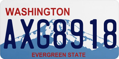 WA license plate AXG8918