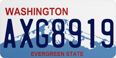 WA license plate AXG8919