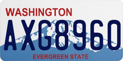 WA license plate AXG8960
