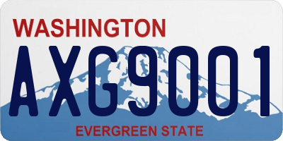 WA license plate AXG9001