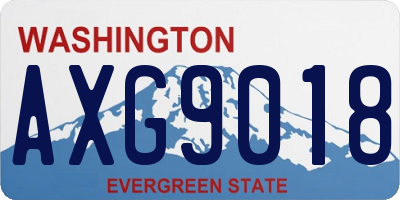 WA license plate AXG9018