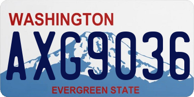 WA license plate AXG9036