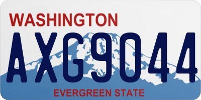 WA license plate AXG9044