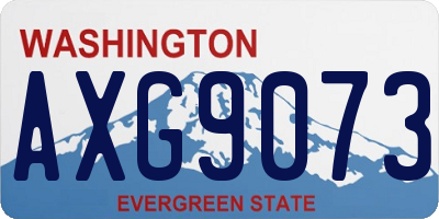 WA license plate AXG9073