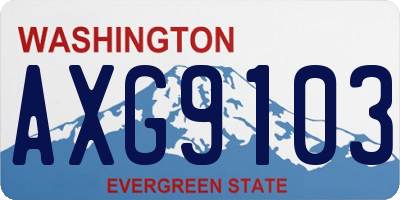 WA license plate AXG9103