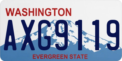 WA license plate AXG9119