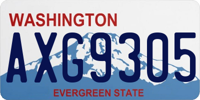 WA license plate AXG9305