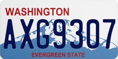 WA license plate AXG9307