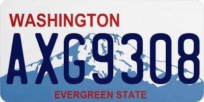 WA license plate AXG9308