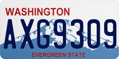WA license plate AXG9309