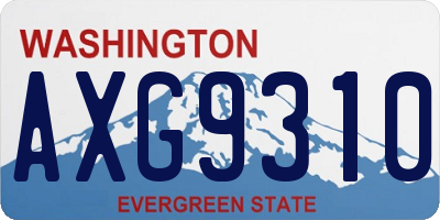 WA license plate AXG9310