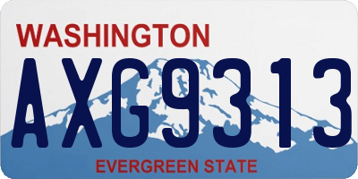 WA license plate AXG9313
