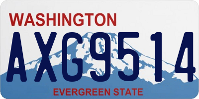 WA license plate AXG9514