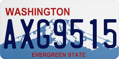 WA license plate AXG9515