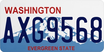WA license plate AXG9568