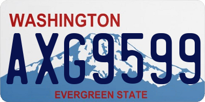 WA license plate AXG9599