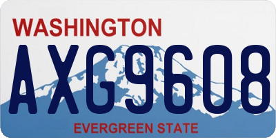 WA license plate AXG9608