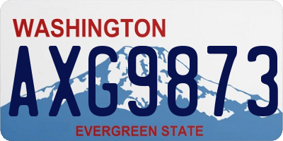 WA license plate AXG9873