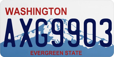 WA license plate AXG9903