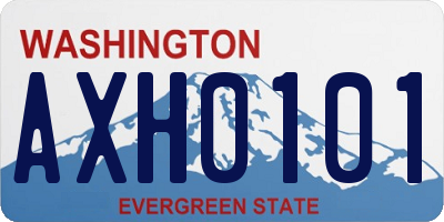 WA license plate AXH0101