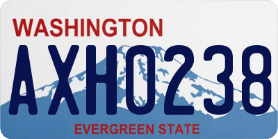 WA license plate AXH0238