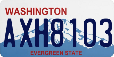 WA license plate AXH8103