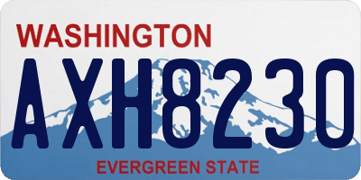 WA license plate AXH8230