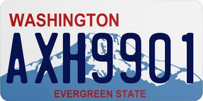 WA license plate AXH9901
