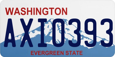 WA license plate AXI0393