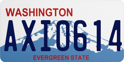 WA license plate AXI0614