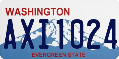 WA license plate AXI1024